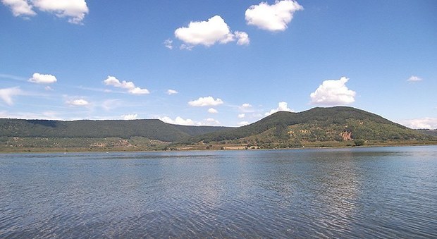 Lago di Vico, allarme noccioleti