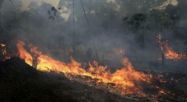 Brasile, si dimette il ministro dell'ambiente: è indagato per il disboscamento dell'Amazzonia