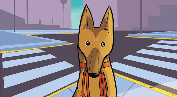 Copertina "Il cane in città"