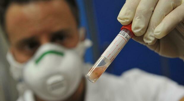 Coronavirus, Abruzzo flagellato dalla variante inglese: altri 502 casi