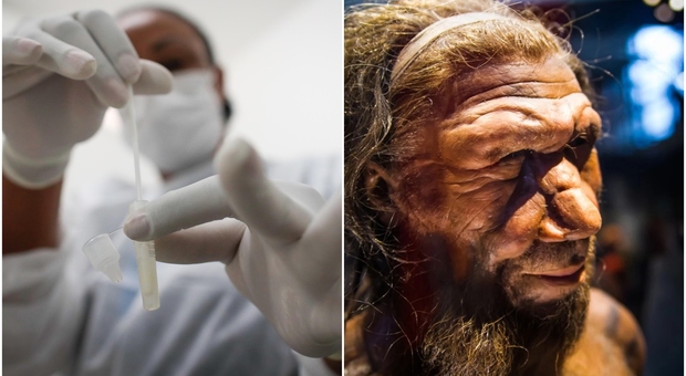 Covid più grave in chi ha i geni di Neanderthal: lo studio sulla strage del virus in Val Seriana