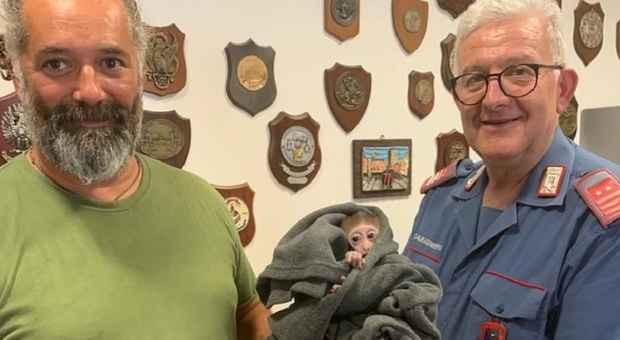 Ritrovato il baby macaco di un mese sottratto al parco Faunistico Cappeller: era in un sacco
