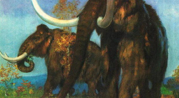 Scheletro di mammut trovato alle porte di Perugia