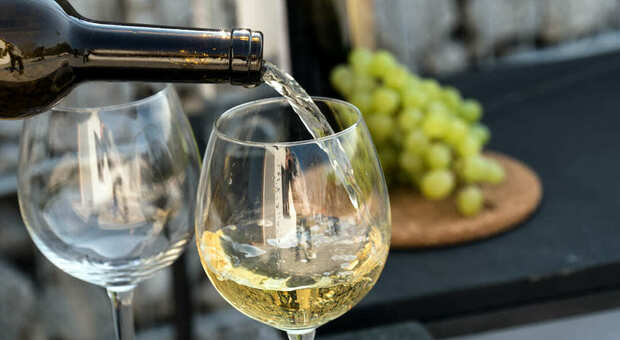 Troppo vino invenduto, ipotesi rottamazione: i produttori pugliesi dicono no