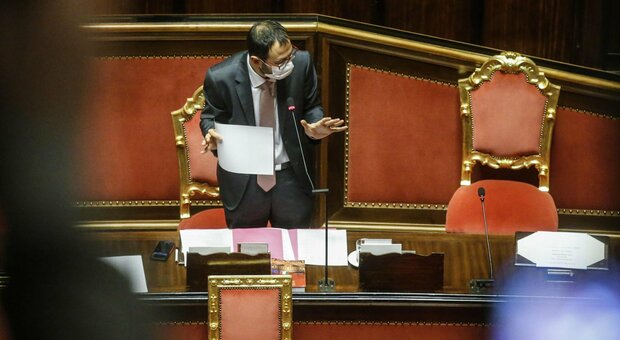 Whirlpool Napoli, Patuanelli al Senato: «Ora imprenditore serio, la strada c'è»