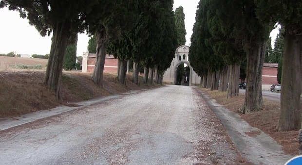 Monte Porzio, cimitero profanato: ladri "spogliano" tomba dagli addobbi