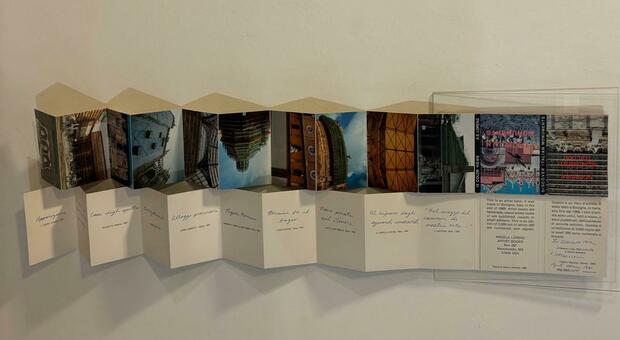 Lo sguardo delle donne sul mondo oscurantista: "Fe/mail-La Fotografia" nelle sale del Musinif a Senigallia