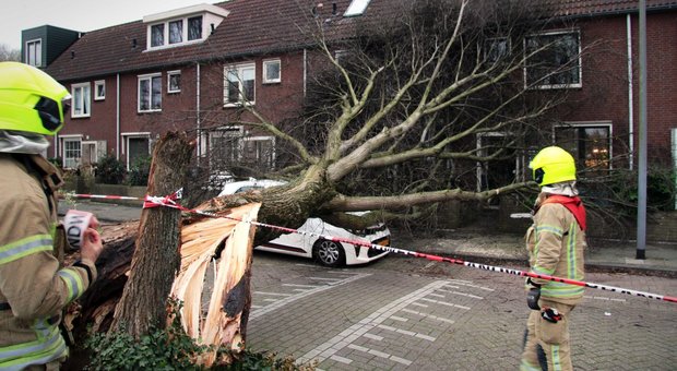 immagine Tempesta Ciara, raffiche oltre i 150 km/h alla Tour Eiffel: ansia nel nord Europa