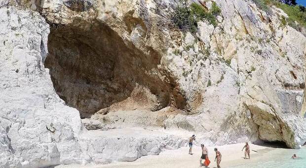 Albero si stacca da parete rocciosa e finisce in spiaggia: morta ragazza di 28 anni