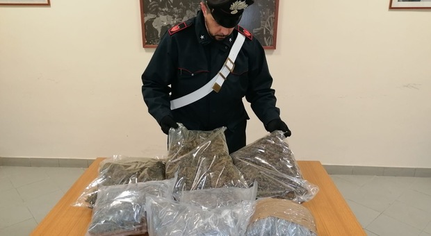 Napoli e provincia, scacco ai signori della droga: 11 pusher arrestati e 10 chili di stupefacenti sequestrati