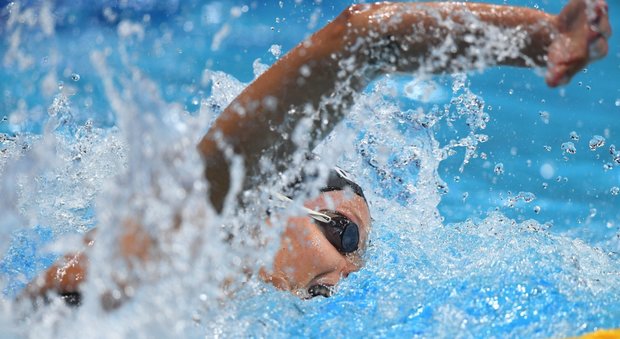 Nuoto, Pellegrini in finale con la 4x100 mista: «La gara, poi birra e festeggiamenti»
