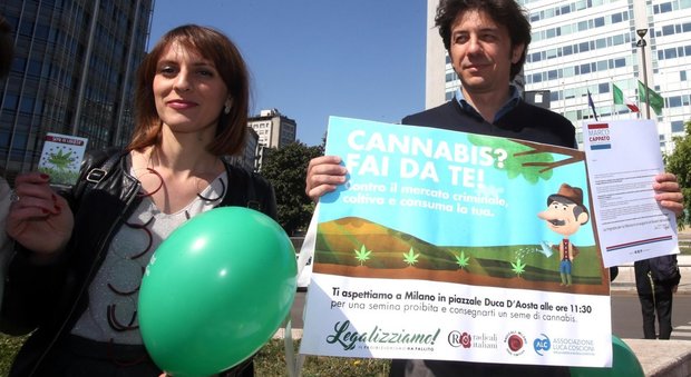 Cannabis, "semina proibita" di Cappato a Milano: il leader radicale identificato dalla polizia