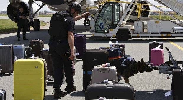 Lufthansa, falso allarme bomba in aereo: si era invaghito dell'hostess e non voleva farla partire