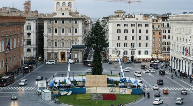 Spelacchio, il Campidoglio ci ripensa: albero di Natale in piazza Venezia, via ai lavori