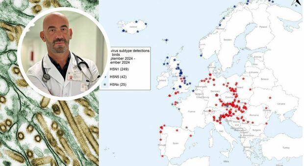 Aviaria in Italia, contagio dalla carne o dagli animali? Cosa sapere. Bassetti: «Non abbiamo vaccini». Come si cura e perché sale l'allerta