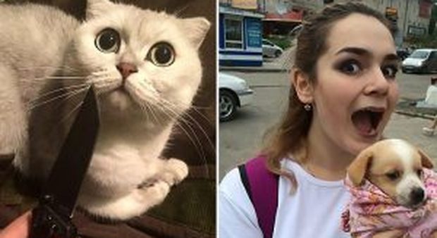 Strappa il cuore a un gatto, crocifigge un cane, poi tutto su Facebook: arrestata una 20enne