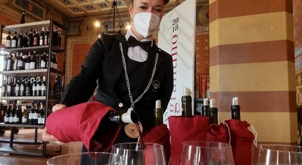«Un'Anteprima per raccontare i vini di Montefalco in modo innovativo»: da domani spazio alle nuove annate