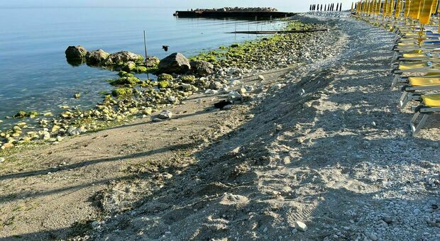 Concessioni in scadenza nelle Marche, erosione e rebus bagnini: «In spiaggia i soliti guai»