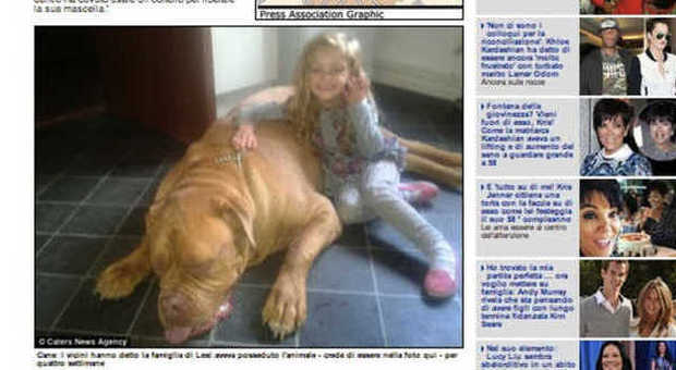 Lexi, 4 anni, muore sbranata dal suo cane. «La scuoteva come una bambola»