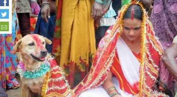 La ragazzina 18enne sposa un cane randagio: matrimonio 'anti-maledizione' in India