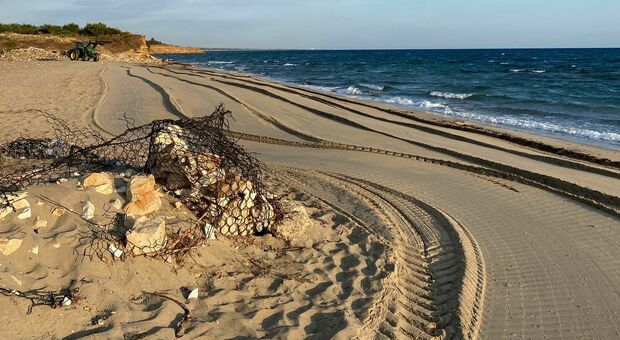 Alghe e rifiuti abbandonati lungo la costa: «La pulizia in quei tratti spetta agli stabilimenti balnari»