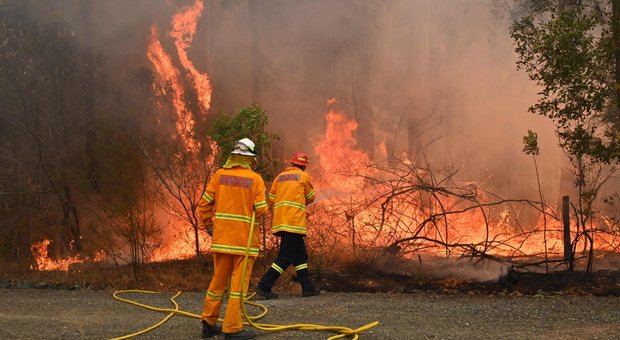 immagine Australia in fiamme: ecco cosa è successo