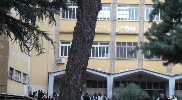 Liceo Vespucci, studenti all'estero ma carenza sul fronte del «sostegno»