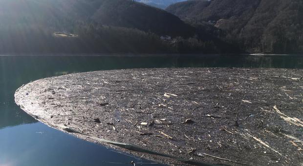 Il lago di Barcis ingombro di detriti e tronchi di alberi caduti