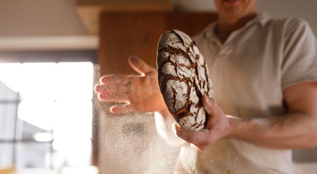 L'azienda di Maserà che crea le miscele di farine per il pane senza additivi chimici - Foto di Philippe Ramakers da Pixabay