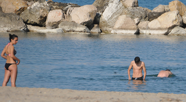 San Benedetto, acqua del mare pulita "eccellente" ma tropicali. Gli studi e le analisi, aumento di 4 gradi rispetto l'anno scorso