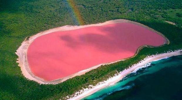 In Australia c'è un lago completamente rosa che sembra uscito da un film fantasy