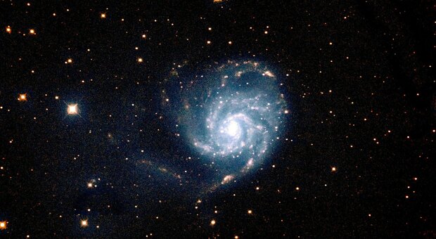 L'astrofisica Ersilia Vaudo, il tour per svelare la scienza: «Bambine, alzate gli occhi al cielo»