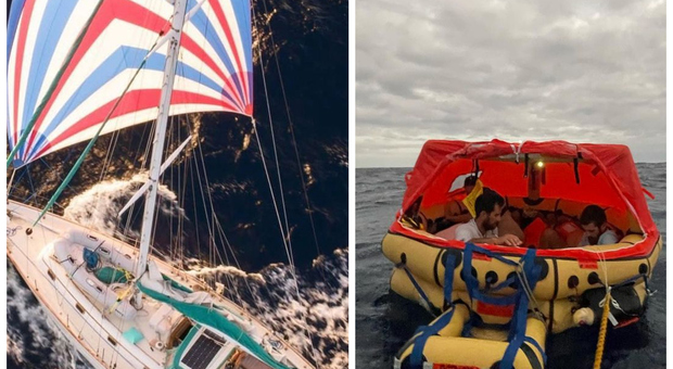 Barca a vela affondata da una balena nell'oceano: l'equipaggio resta 10 ore su un gommone
