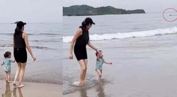 Donna filma innavertitamente un attacco di un coccodrillo mentre è in spiaggia con la figlia: morto dissanguato un 76enne