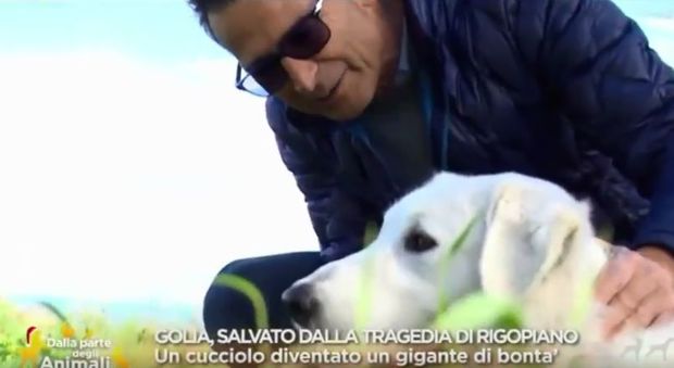Hotel Rigopiano, il papà di una delle vittime adotta un cucciolo salvato dalla valanga