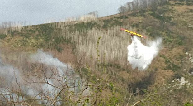 Le fiamme devastano i boschi dell'Irpinia, in azione due Canadair
