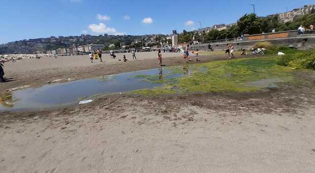 «Mappatella Beach», il degrado delle spiagge napoletane: «Comune deve intervenire di più»