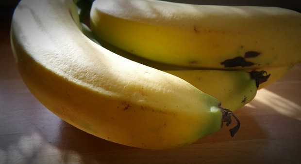 Banane, miele e mandorle i migliori alleati contro l'insonnia. No ad alcool e formaggio