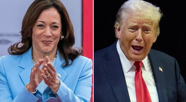 immagine Trump-Harris, dai sussidi ai muri anti-migranti: i programmi dei due candidati e la sfida americana degli opposti populismi