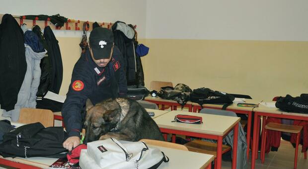 I carabinieri con l’ausilio dei cani antidroga hanno effettuato dei controlli