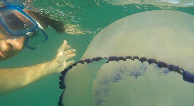 Senigallia effetti speciali: il selfie sott’acqua con una medusa gigante