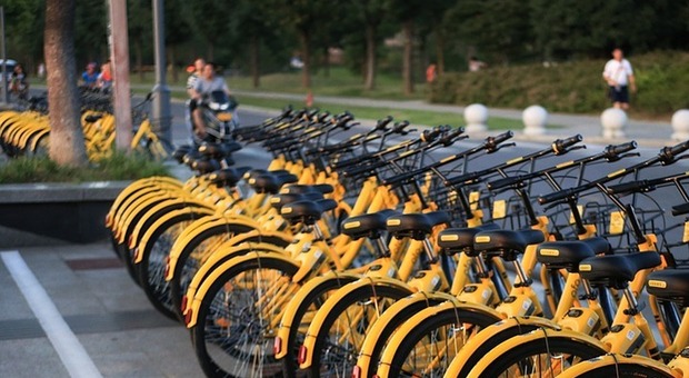 Via al bike sharing, saranno 5 gli hub: «Pronto l’appalto». Ecco i tempi per la messa a punto del progetto