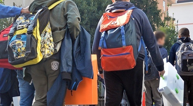 immagine Reggio Calabria, maestra picchiava e insultava gli alunni: «Stupidi maiali». Sospesa per un anno