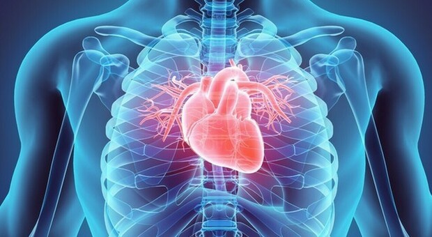 I farmaci per l'ipertensione riducono il rischio di infarto: lo studio su un campione di oltre 5.000 persone