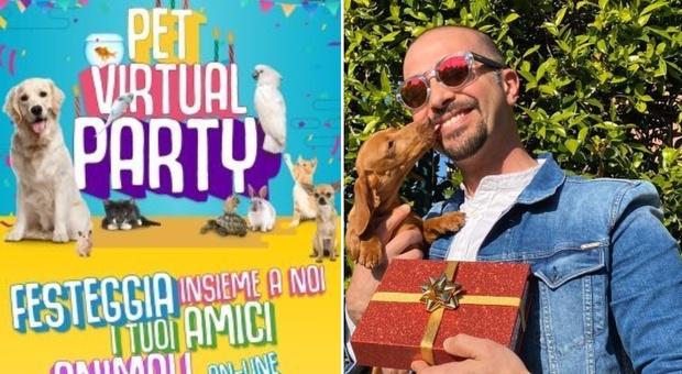 Pet Virtual Party, feste online gratuite per gli animali domestici: l'iniziativa benefica approda sul web