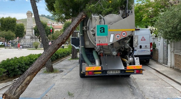 Porto San Girgio, pino cade in piazza sopra un camion in transito: che paura