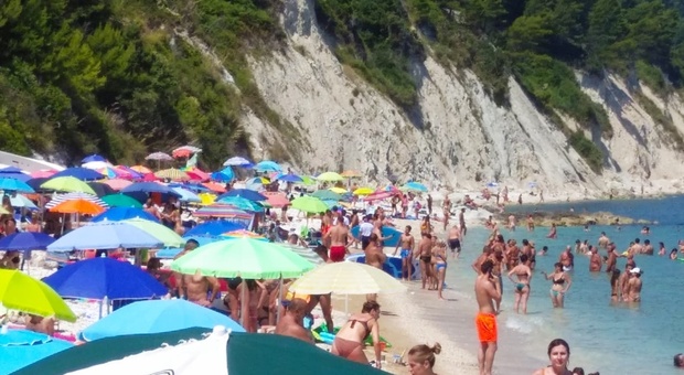 In spiaggia a Portonovo con due pastori maremmani: scoppia la lite, maxi multa alla turista