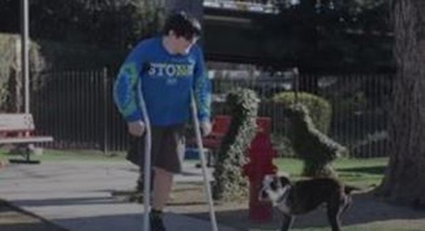 Gli amputano la gamba a 12 anni, lui adotta un cane a tre zampe
