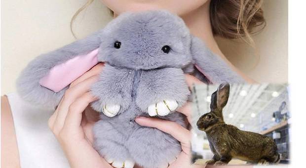 I teneri coniglietti di pelliccia di coniglio al 100% (immagine Amazon.com e Ansa)