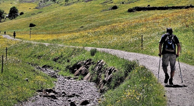 Cammino sui sentieri dei vecchi pastori: da Deppo ai pascoli alpini di Bajon, nell'altopiano di Pian dei Buoi (Foto di pasja1000 da Pixabay)